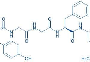 Met-Enkephalin