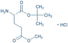 H-Glu(OMe)-OtBu · HCl