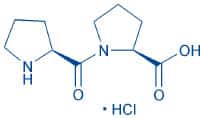 H-Pro-Pro-OH · HCl