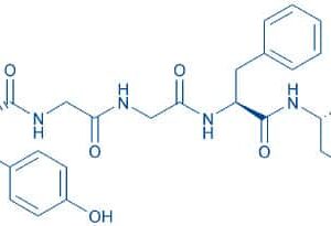 Leu-Enkephalin