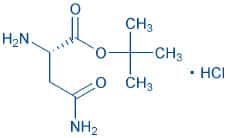 H-Asn-OtBu · HCl