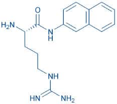 H-Arg-βNA · HCl