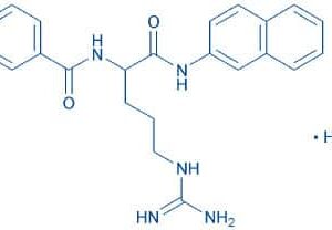 Bz-DL-Arg-βNA · HCl