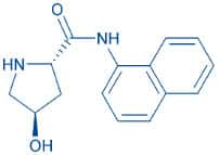 H-Hyp-βNA