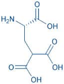 H-γ-Carboxy-Glu-OH