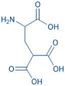 H-γ-Carboxy-DL-Glu-OH