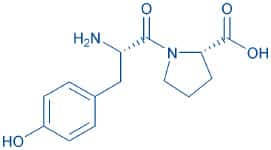 β-Casomorphin (1-2)