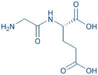 β-Endorphin (30-31) (human)