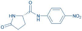 Pyr-pNA
