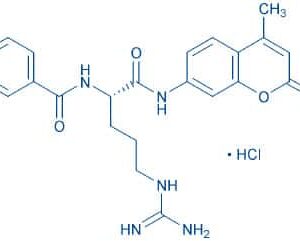 Bz-Arg-AMC · HCl