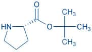 H-Pro-OtBu (syrup)