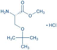 H-Ser(tBu)-OMe · HCl
