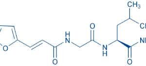 FA-Gly-Leu-NH₂