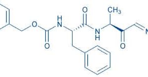 Z-Phe-Ala-diazomethylketone