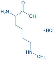 H-Lys(Me)-OH · HCl