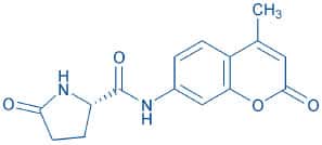 Pyr-AMC