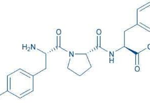 β-Casomorphin (1-3)