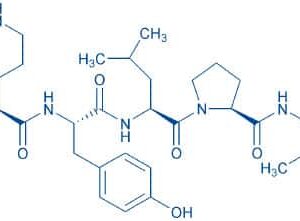 Proctolin