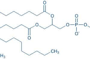 1,2-Distearoyl-rac-glycero-3-phosphocholine