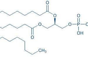 1,2-Dipalmitoyl-sn-glycero-3-phosphoethanolamine