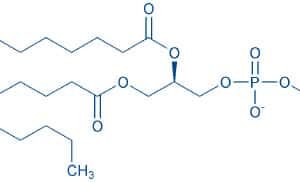 1,2-Dimyristoyl-sn-glycero-3-phosphocholine