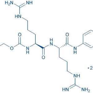 Z-Arg-Arg-pNA · 2 HCl