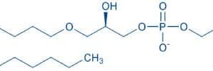1-O-Hexadecyl-sn-glycero-3-phosphocholine