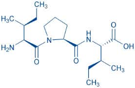 Diprotin A