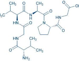 Chemotactic Domain of Elastin