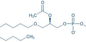 1-O-(cis-9-Octadecenyl)-2-O-acetyl-sn-glycero-3-phosphocholine