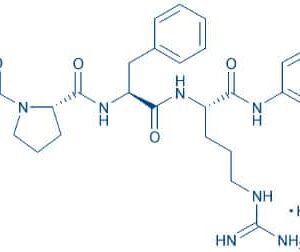 Bz-Pro-Phe-Arg-pNA · HCl