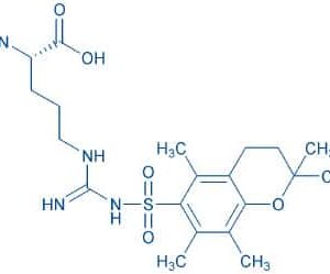 H-Arg(Pmc)-OH