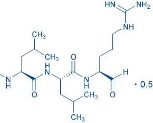 Leupeptin