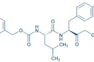 Z-Leu-Tyr-chloromethylketone