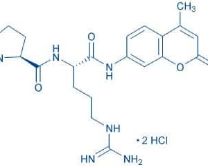 H-Pro-Arg-AMC · 2 HCl
