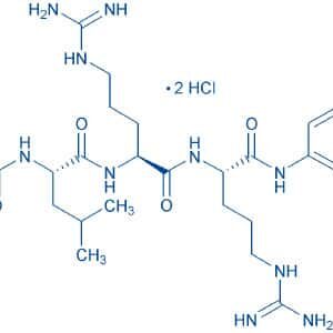 Boc-Leu-Arg-Arg-AMC · 2 HCl