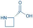 L-Azetidine-2-carboxylic acid