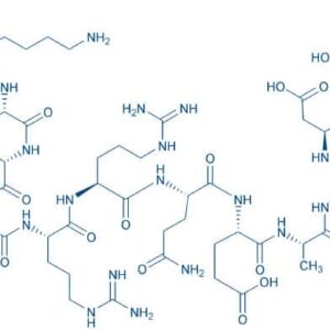 Autocamtide-2-Related Inhibitory Peptide