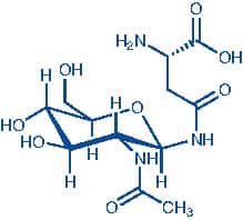 H-Asn(GlcNAc-β-D)-OH