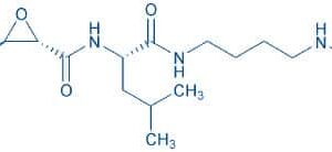 L-trans-Epoxysuccinyl-Leu-4-guanidinobutylamide